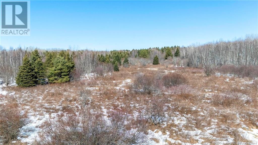 Lot Northwood And Old Barn Road Property Photo 12