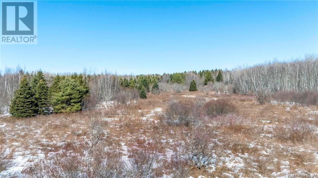 Lot Northwood And Old Barn Road Property Photo 22