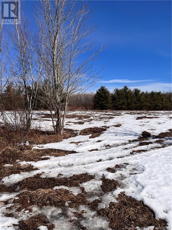 Lot Northwood And Old Barn Road Property Photo 32