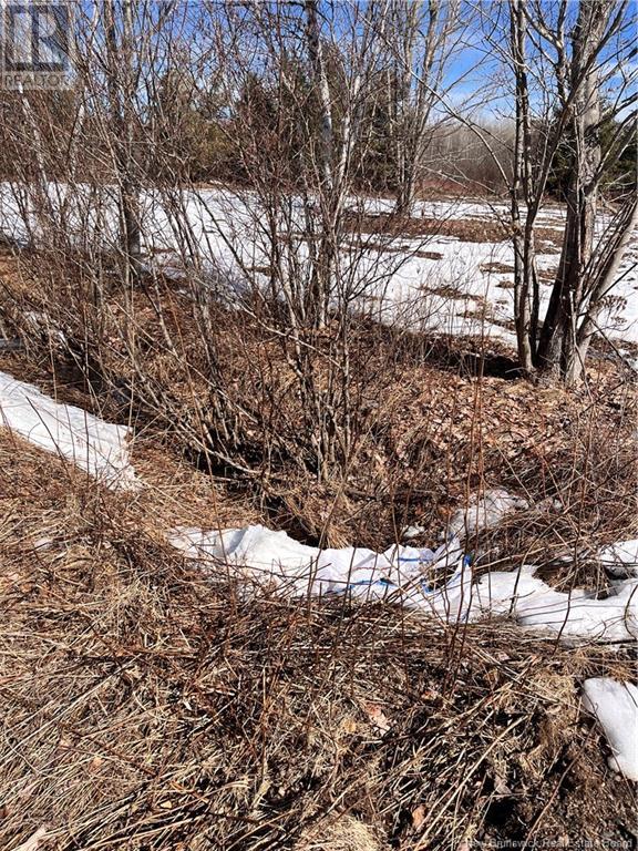 Lot Northwood And Old Barn Road Property Photo 34
