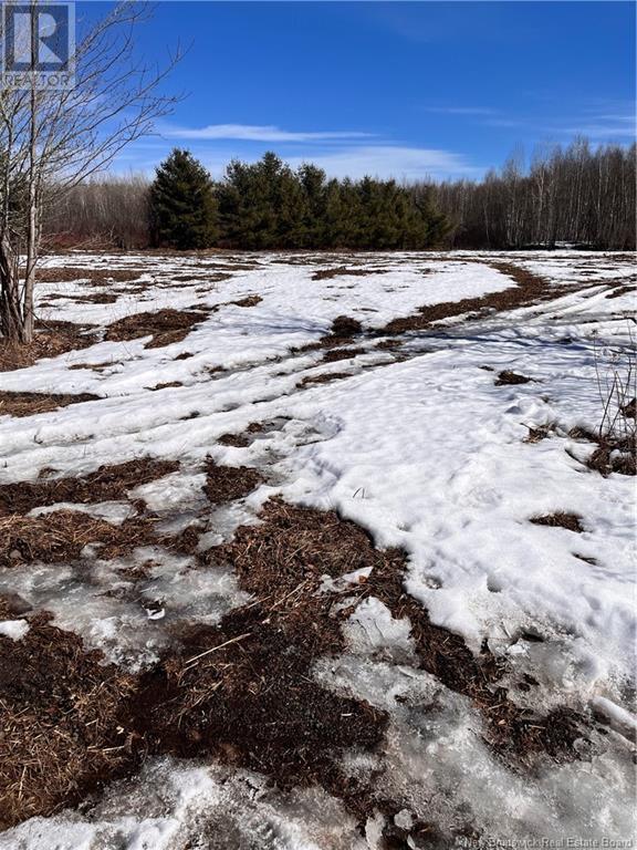 Lot Northwood And Old Barn Road Property Photo 37