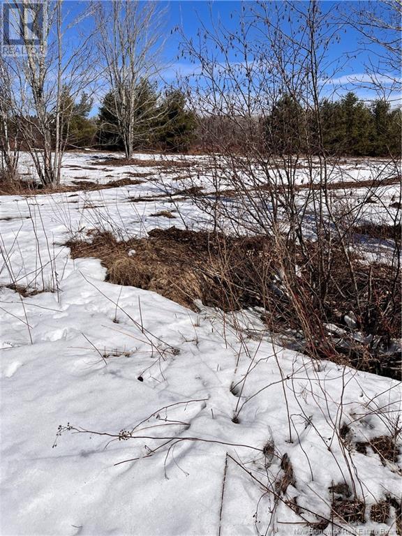 Lot Northwood And Old Barn Road Property Photo 39