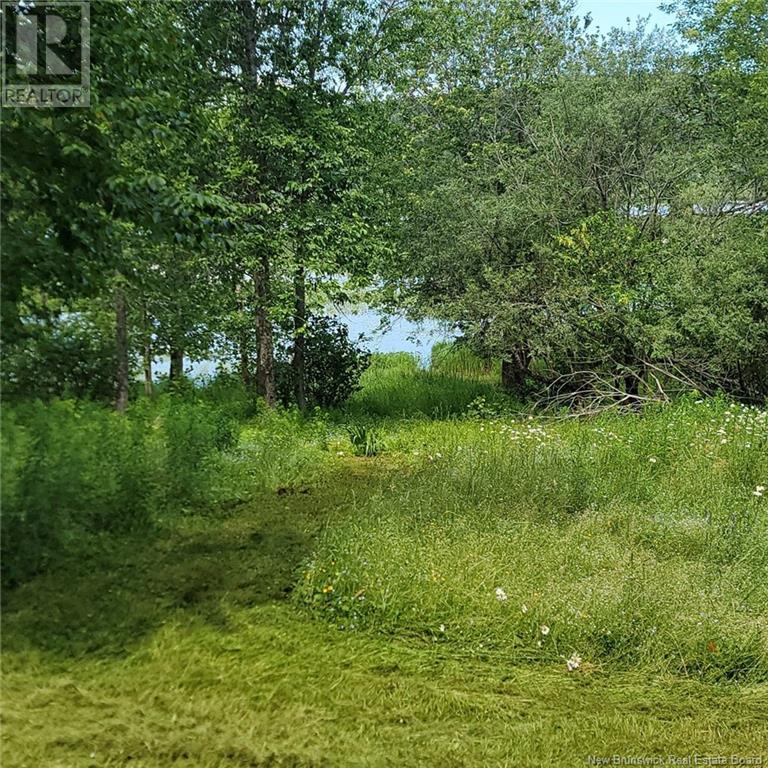 Land Darlings Island Road Property Photo 2