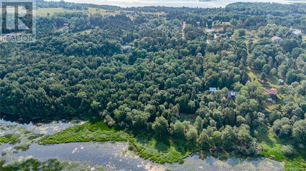 Land Darlings Island Road Property Photo 4