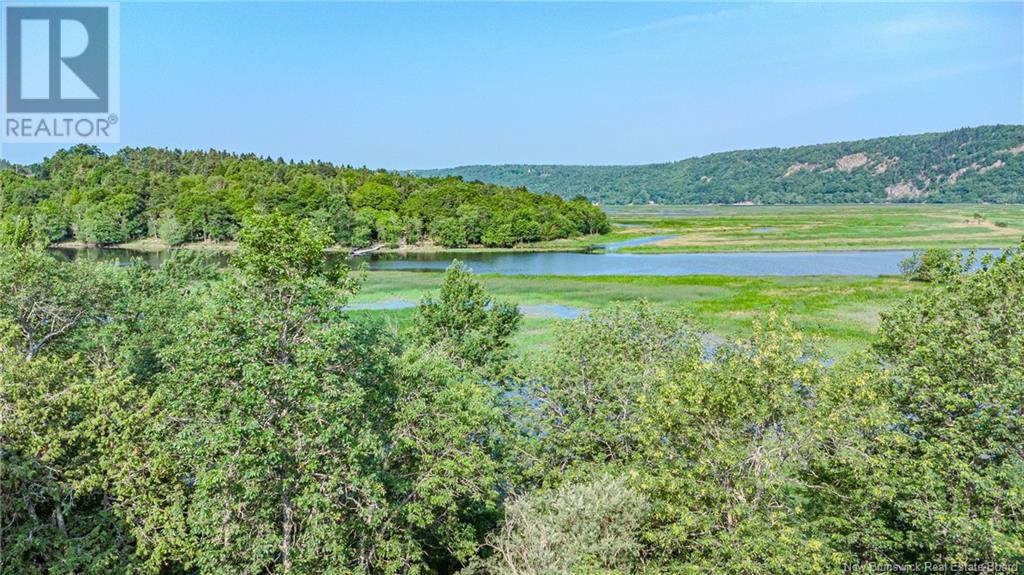 Land Darlings Island Road Property Photo 5