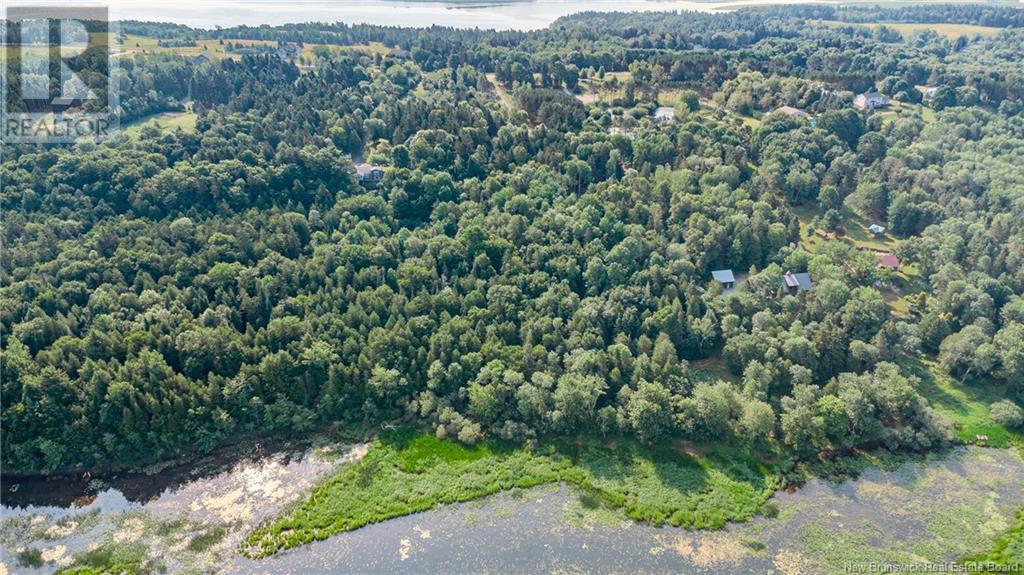 Land Darlings Island Road Property Photo 11