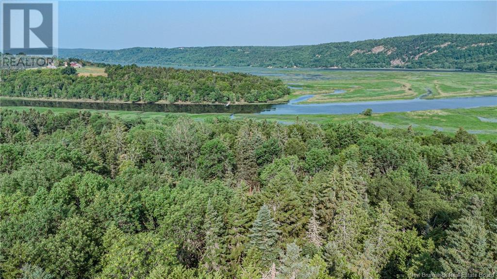 Land Darlings Island Road Property Photo 15