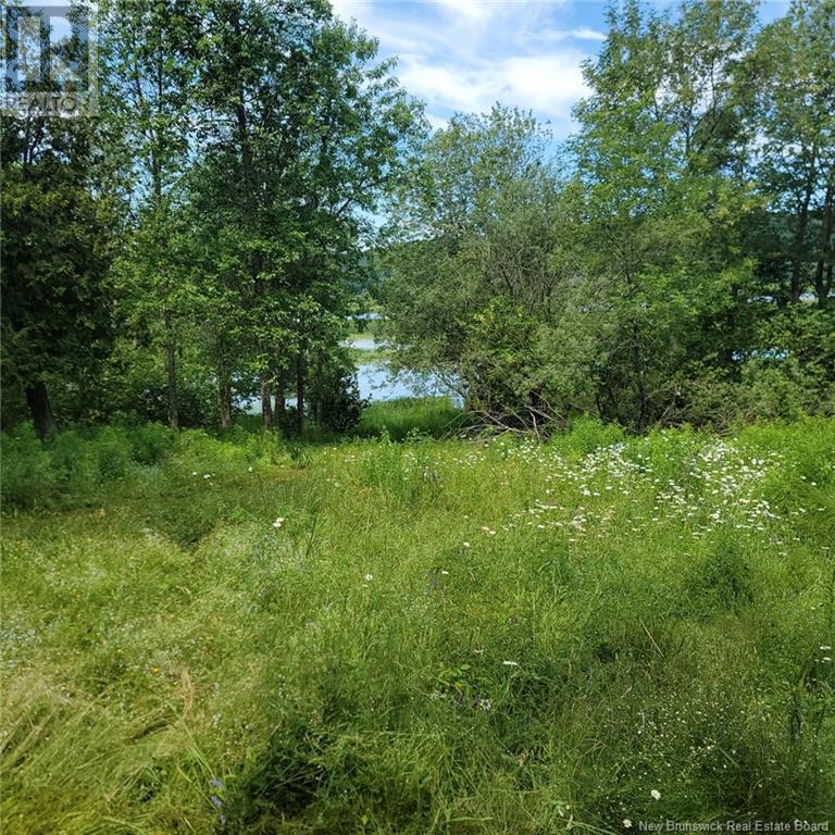 Land Darlings Island Road Property Photo 17