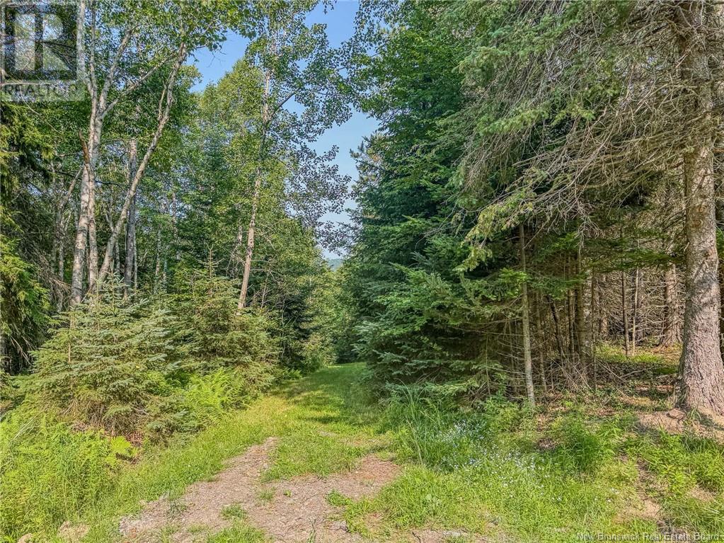 Land Darlings Island Road Property Photo 18