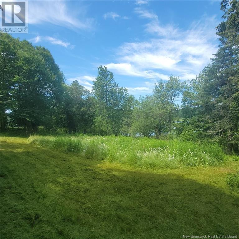 Land Darlings Island Road Property Photo 19