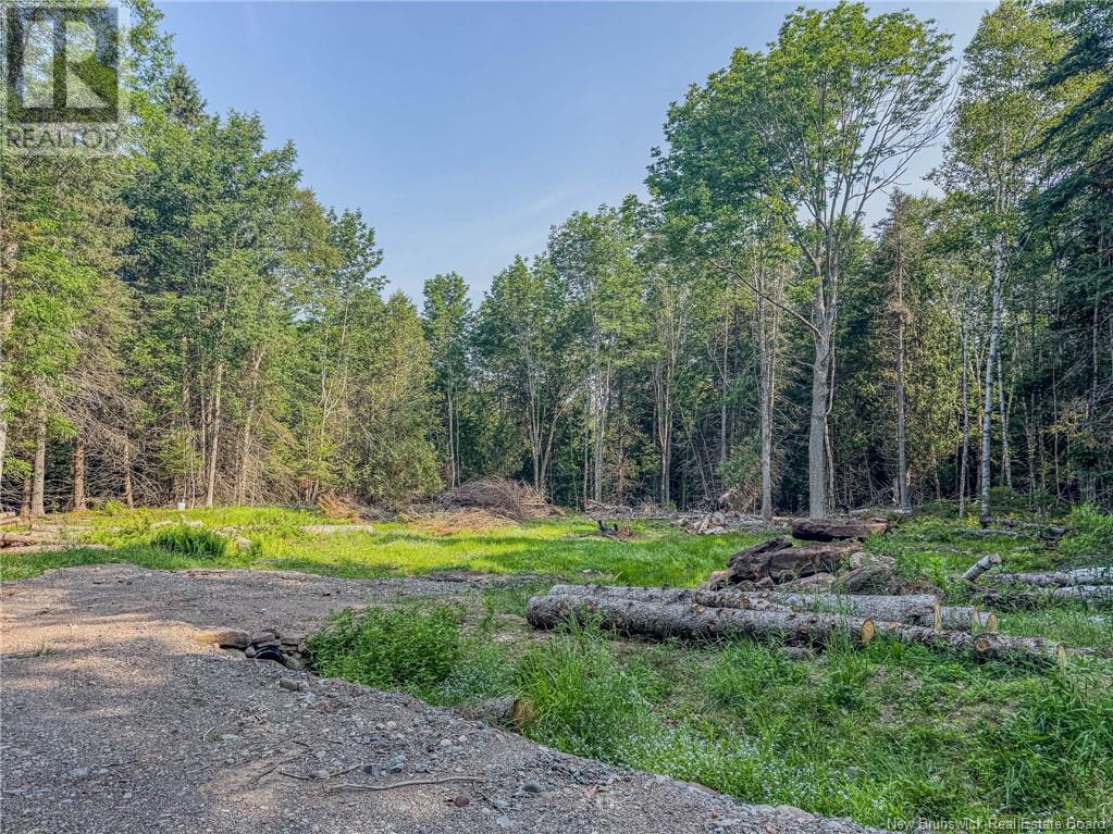 Land Darlings Island Road Property Photo 20