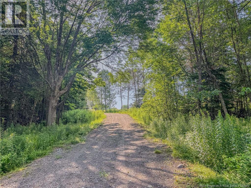 Land Darlings Island Road Property Photo 21