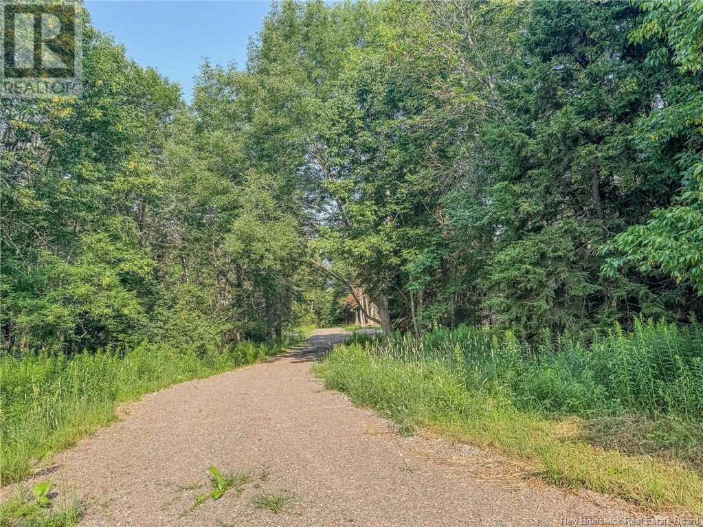 Land Darlings Island Road Property Photo 22