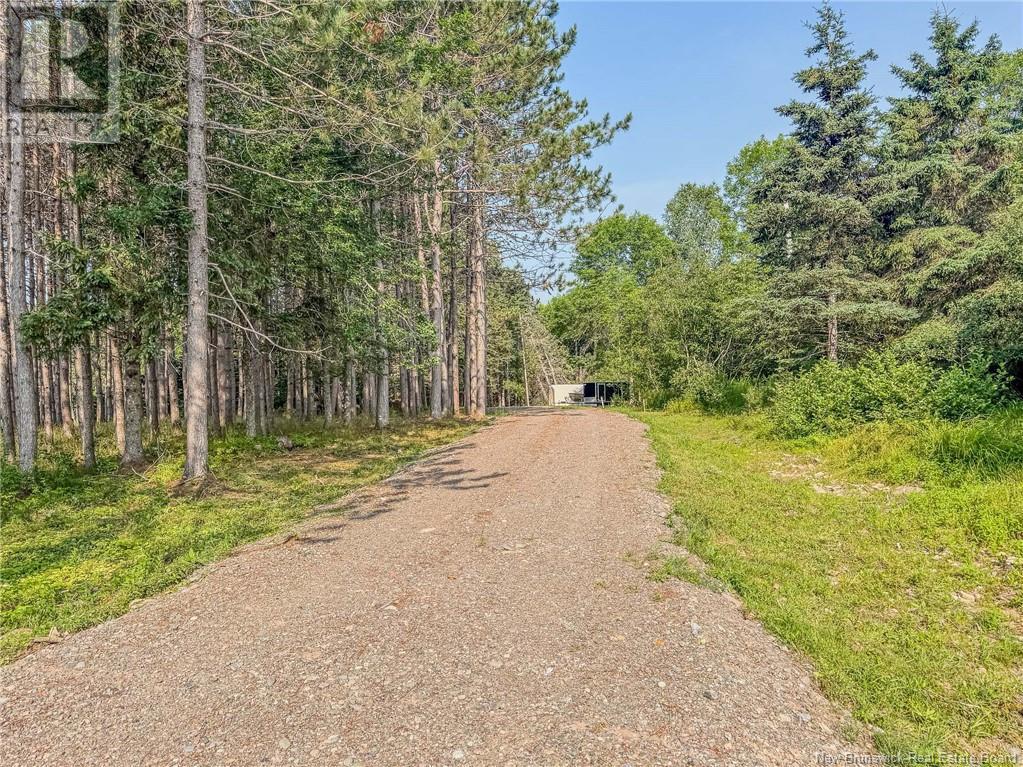 Land Darlings Island Road Property Photo 23