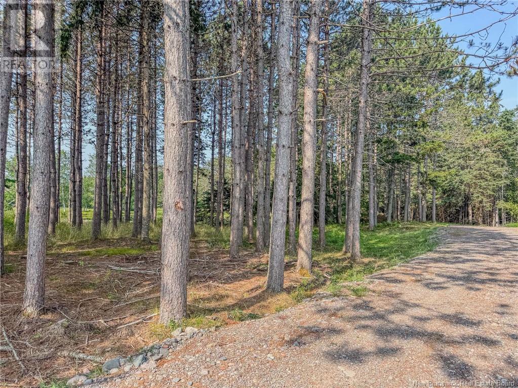 Land Darlings Island Road Property Photo 25