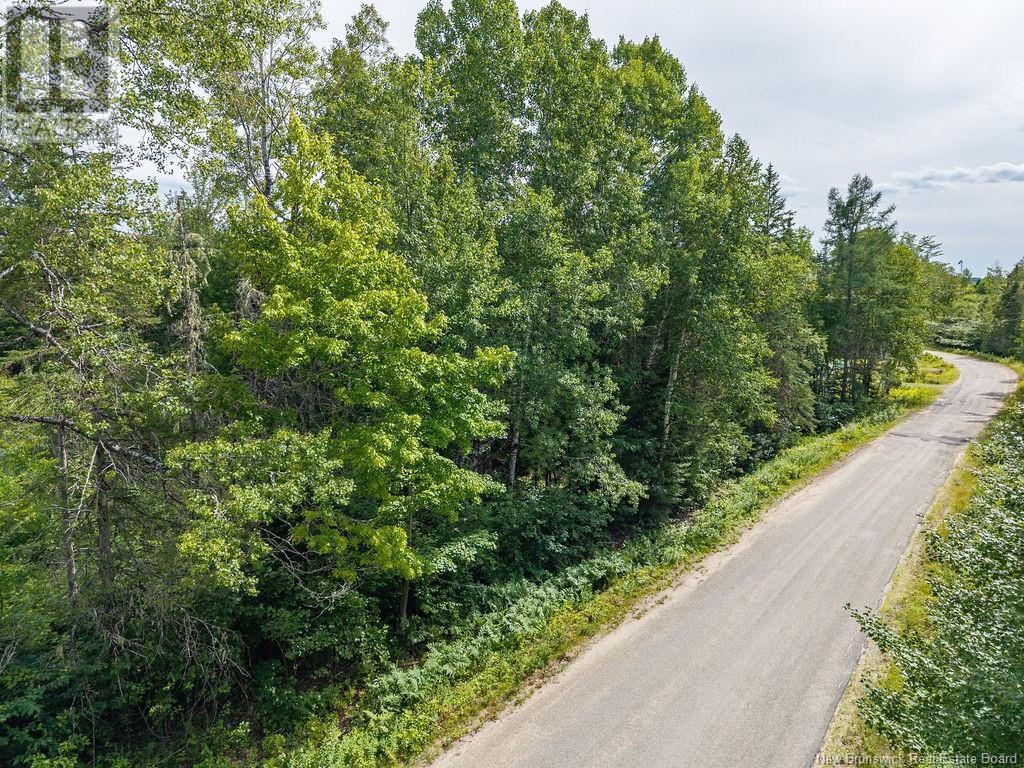 50 Walsh Road Property Photo 4