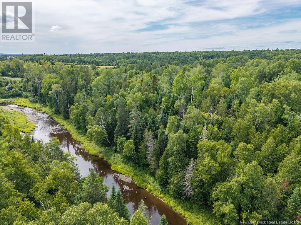 50 Walsh Road Property Photo 5