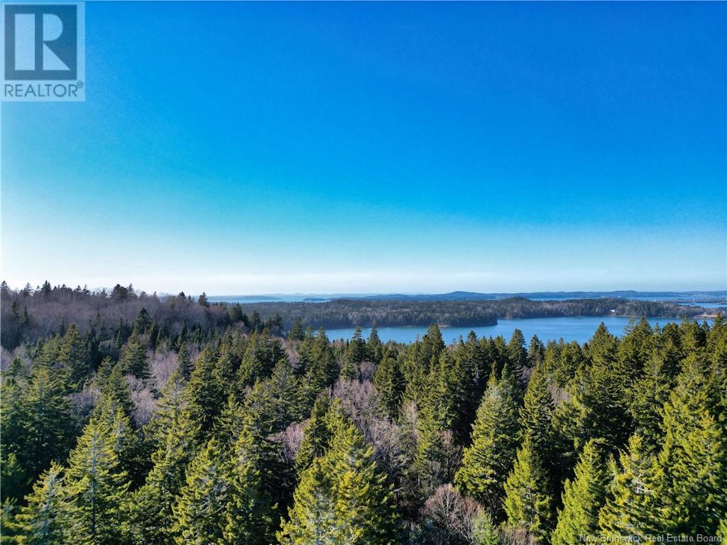 Lot 86-49a Bunker Hill Property Photo 1