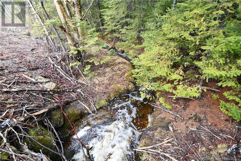 Lot 86-49a Bunker Hill Property Photo 4