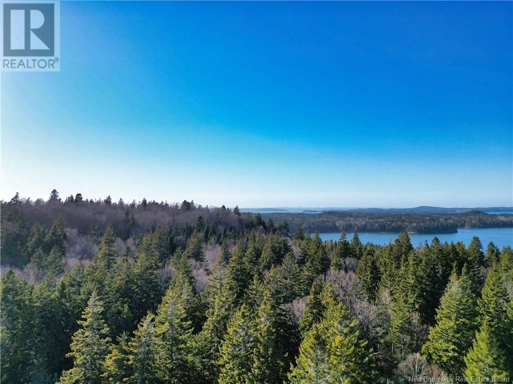 Lot 86-49a Bunker Hill Property Photo 6