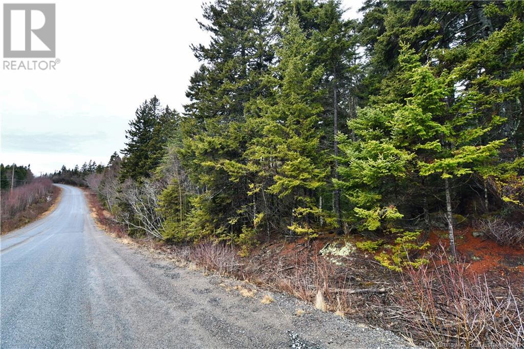 Lot 86-49a Bunker Hill Property Photo 7