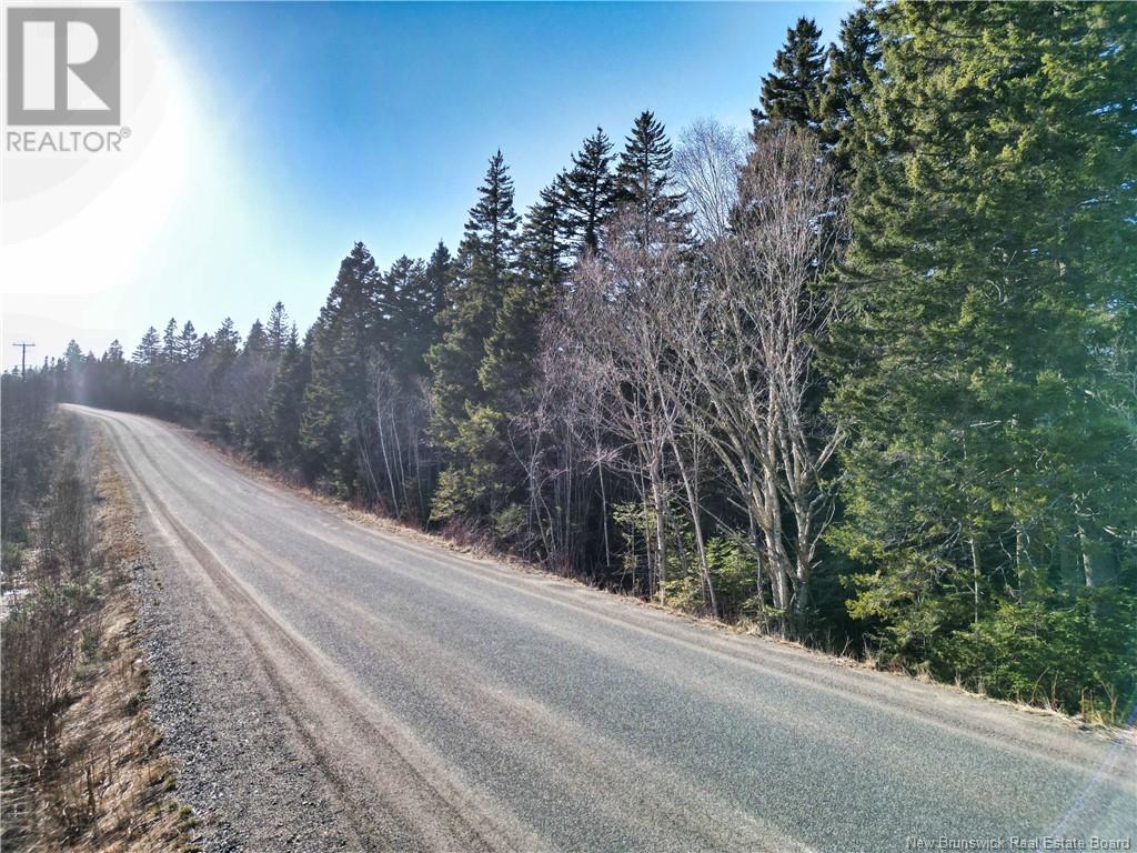 Lot 86-49a Bunker Hill Property Photo 8