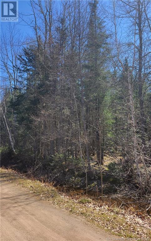Mill Cove Real Estate Listings Main Image