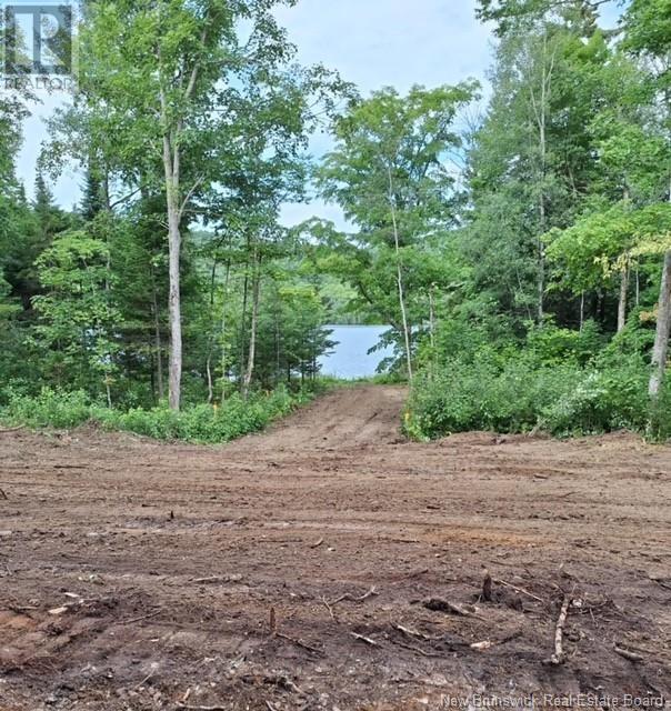 1036 Route 215 Property Photo 4