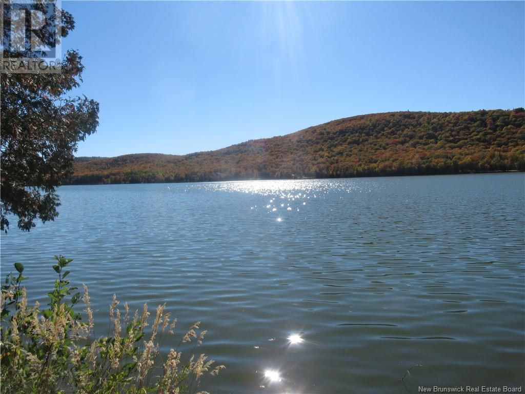 1036 Route 215 Property Photo 5