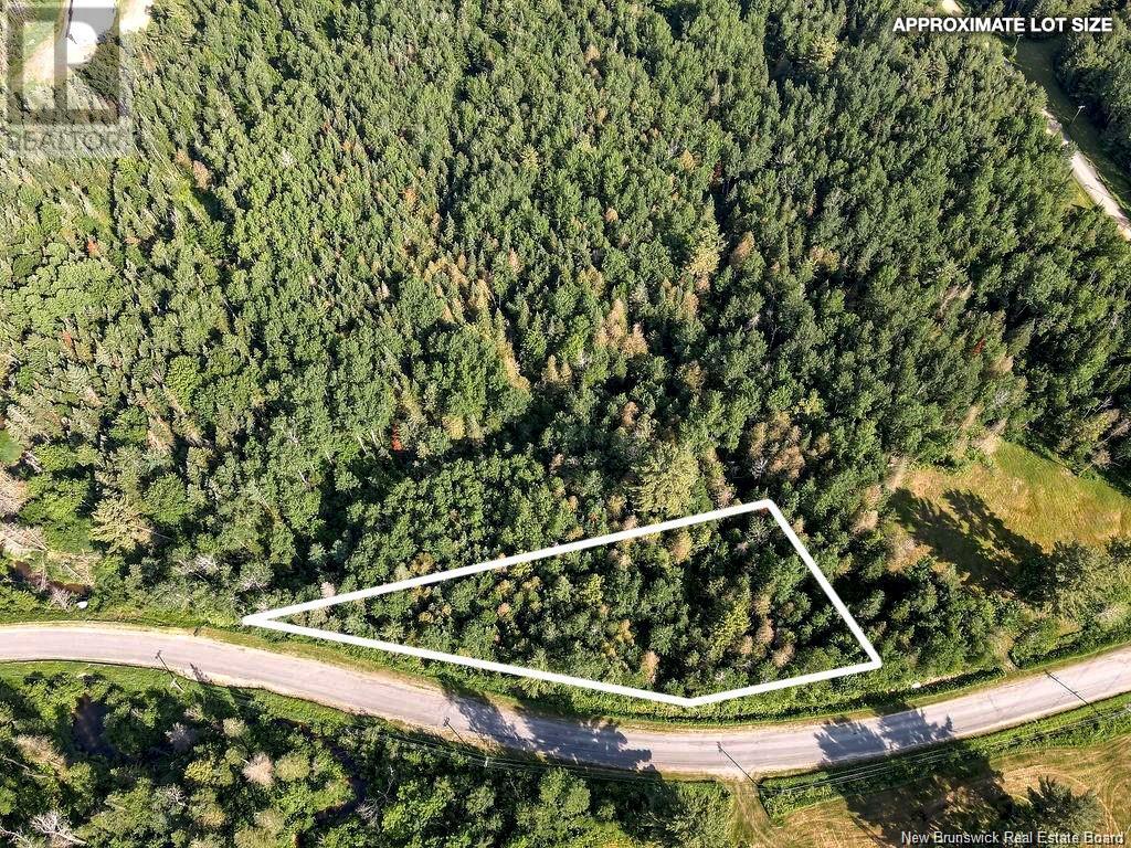 Lot 1 Sisson Settlement Road Property Photo 1