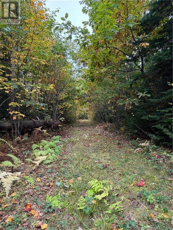 Lot 2 Wegesegum Road Property Photo