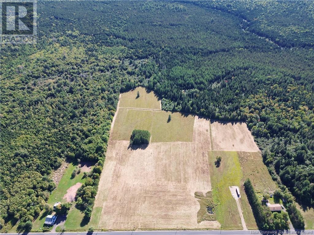 Lot Red Bank Road Property Photo 4