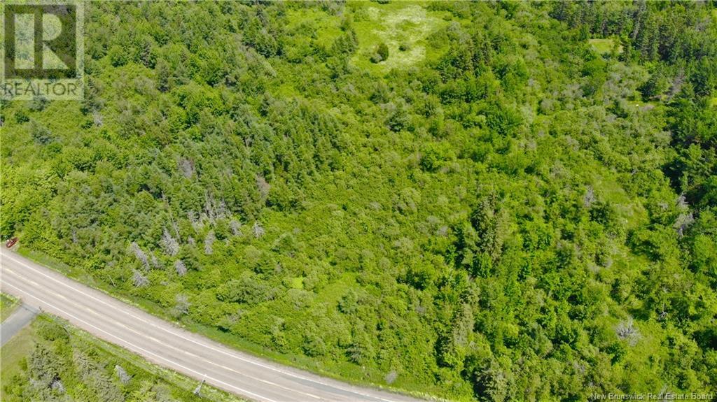 0 Route 115 Property Photo 3