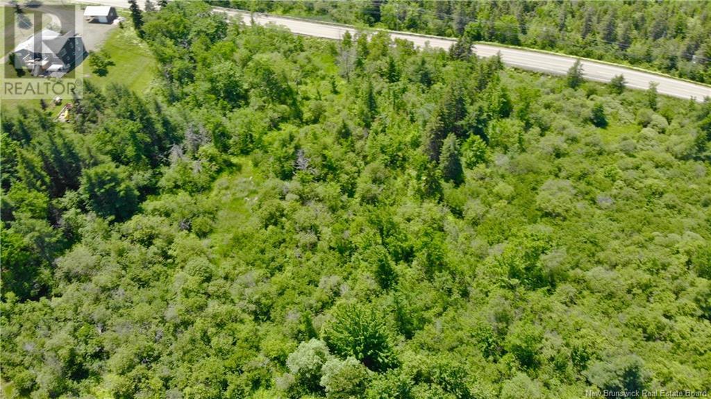 0 Route 115 Property Photo 6