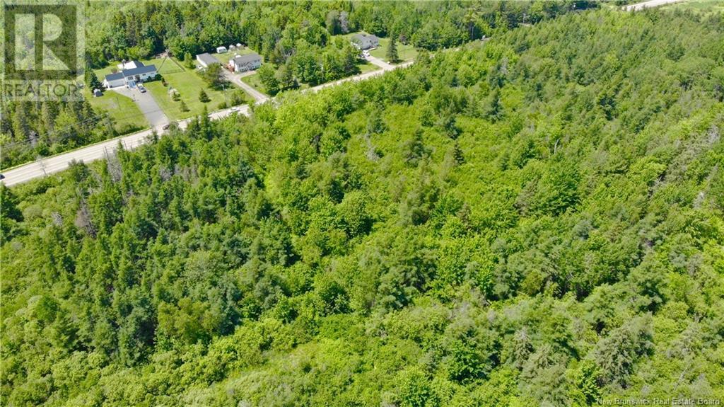 0 Route 115 Property Photo 8