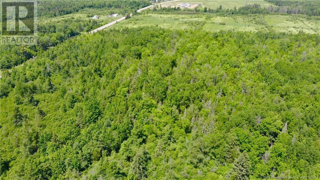 0 Route 115 Property Photo 9