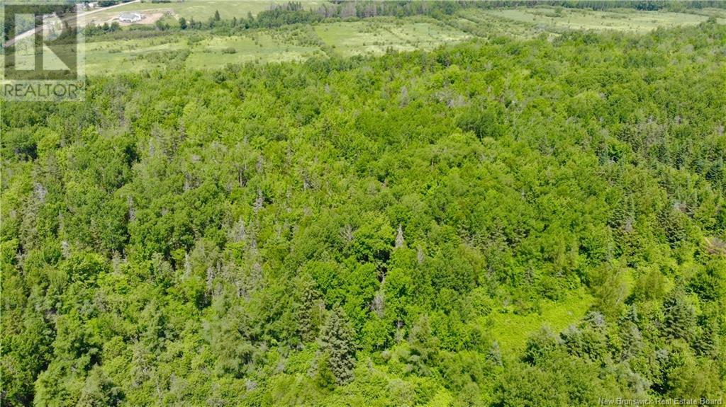 0 Route 115 Property Photo 10