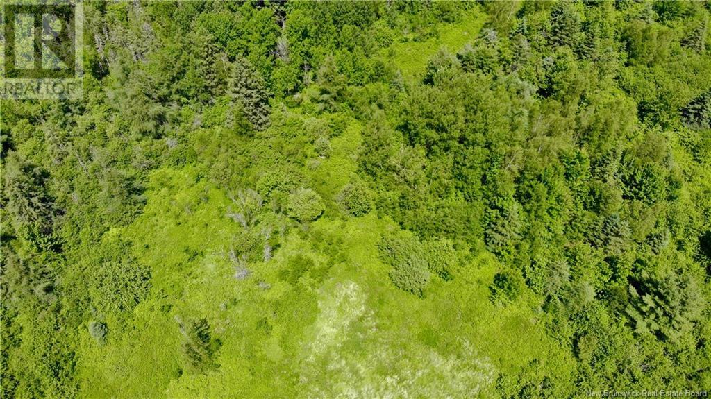 0 Route 115 Property Photo 12