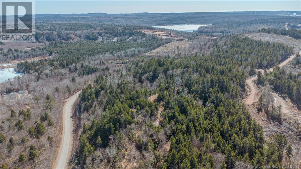 Lot Bluff Road Property Photo 11
