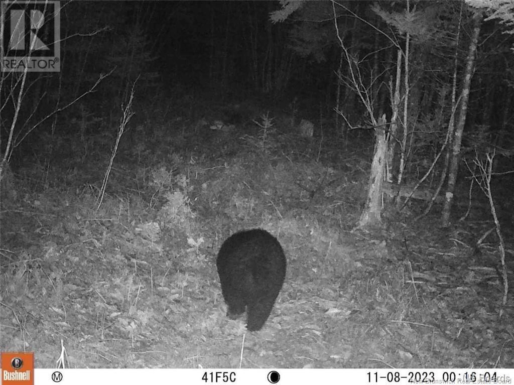 Lot Route 735 Property Photo 8