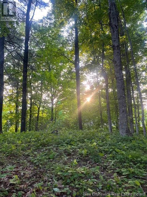 Lot 11-6 Route 105 Property Photo