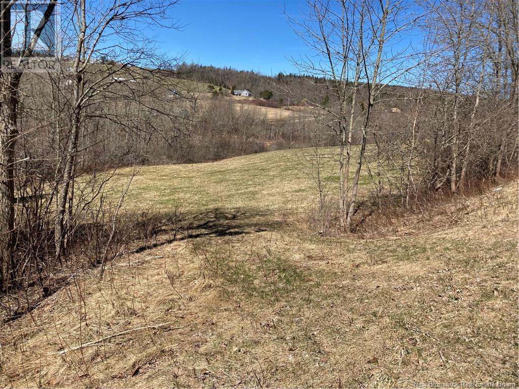 2879 Route 124 Property Photo 4