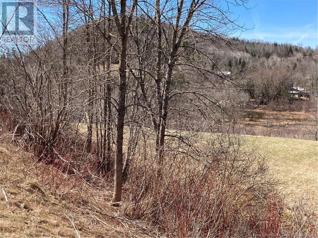 2879 Route 124 Property Photo 5