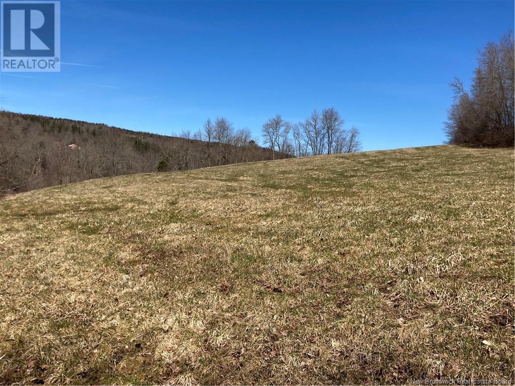 2879 Route 124 Property Photo 6