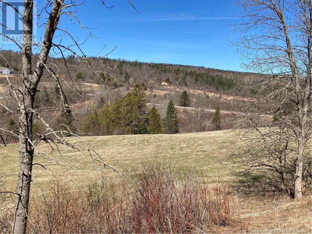 2879 Route 124 Property Photo 7