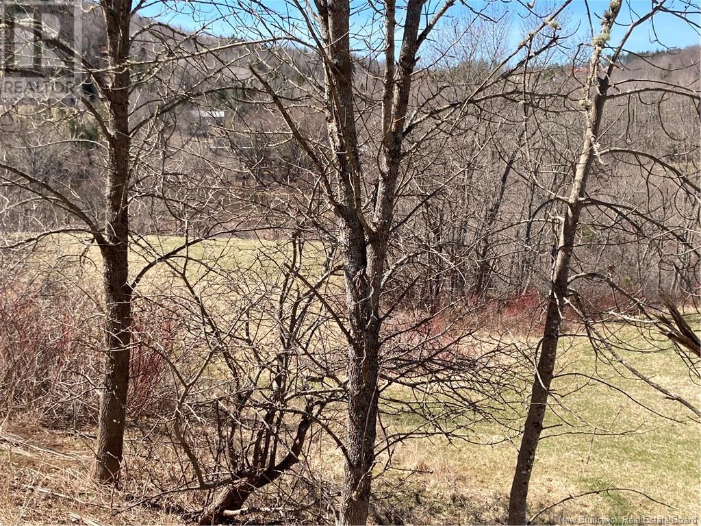 2879 Route 124 Property Photo 13