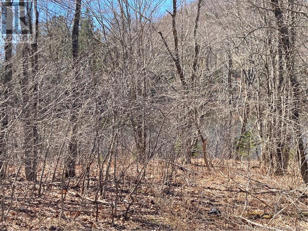 2879 Route 124 Property Photo 14