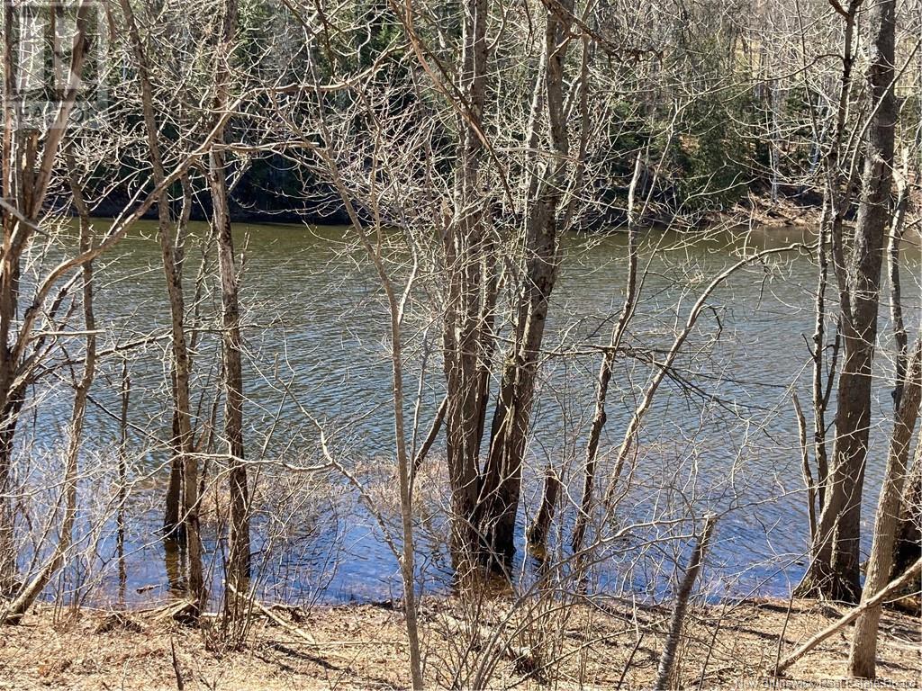 2879 Route 124 Property Photo 15