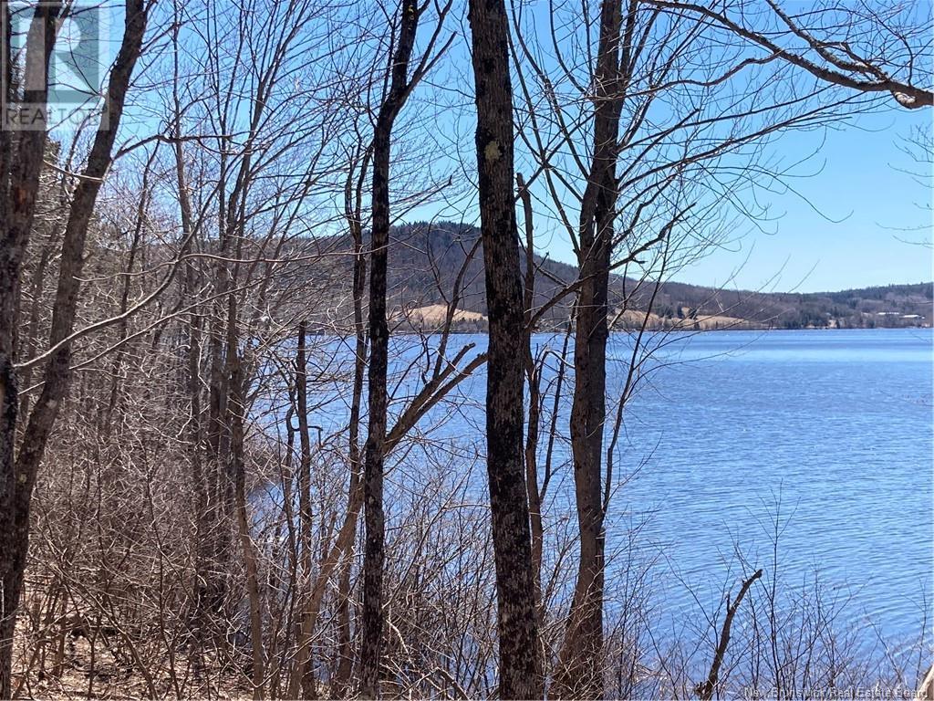 2879 Route 124 Property Photo 17