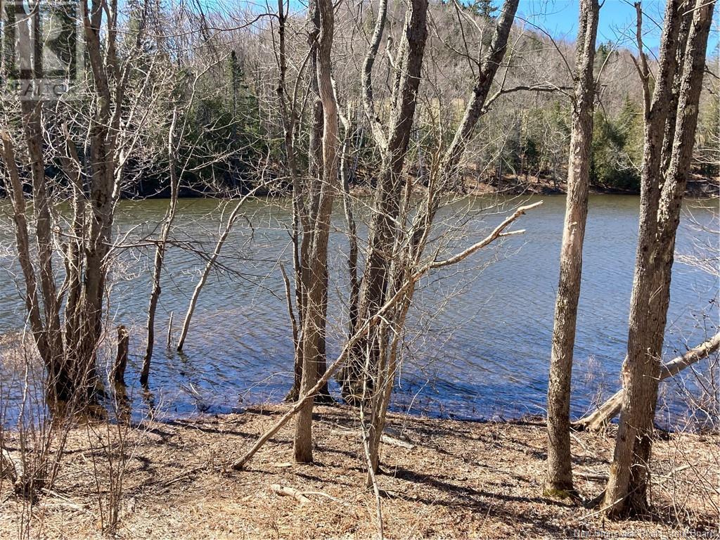 2879 Route 124 Property Photo 19